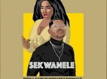 Shuga Cane – Sekwanele ft. Rethabile Khumalo mp3 download free lyrics