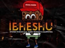 Sponge Wodumo – Ibheshu ft. Mampintsha & Babes Wodumo mp3 download free lyrics