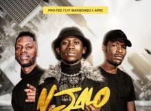Pro Tee - Njalo ft. Manqonqo & Airic mp3 download free lyrics