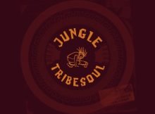 TribeSoul – Jungle (Dub Feel) mp3 download free lyrics