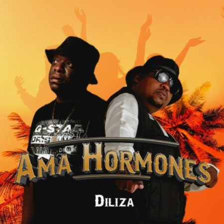 Diliza - Ama Hormones ft. Professor mp3 download free lyrics