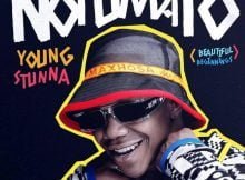 Young Stunna – Ngi Na Lo ft. Blxckie & DJ Maphorisa mp3 download free lyrics