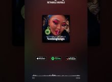 Rethabile Khumalo - Nomganga mp3 download free lyrics