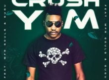 T-Man SA – Crush ft. MFR Souls & Gugu mp3 download free lyrics