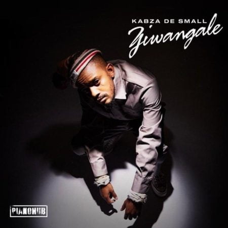 Kabza De Small – Ziwa Ngale ft. DJ Tira, Young Stunna, Dladla Mshunqisi, Felo Le Tee, Beast & Dj Exit_SA mp3 download free lyrics