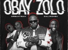 Ndloh Jnr - Obay'Zolo ft. Daliwonga & Dreamteam mp3 download free lyrics