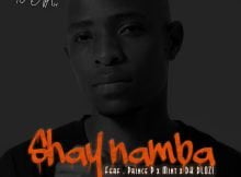 DJ Nova SA - Shay'namba ft. Prince P, Mint & DK Dlozi mp3 download free lyrics