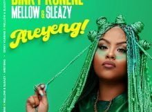 Dinky Kunene – Areyeng ft. Mellow & Sleazy mp3 download free lyrics