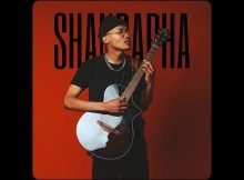 Sino Msolo – Shandapha ft. S.O.N, Leroyale & Sipho Magudulela mp3 download free lyrics