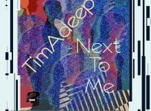 TimAdeep & Artwork Sounds – Next To Me mp3 download free