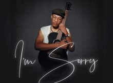 Sino Msolo - I'm Sorry ft. Laud & M.J mp3 download free lyrics