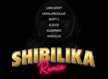 Lord Script – Shibilika Remix ft. Okmalumkoolkat, MusiholiQ, Blxckie, Audiomarc & Nasty C mp3 download free lyrics