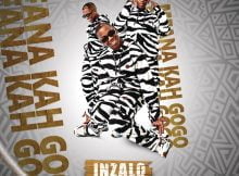 Mfana Kah Gogo - Intando Ft. OHP SAGE & LEBO MUZIQ mp3 download free lyrics