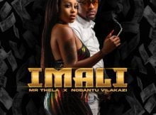 Mr Thela - iMali ft. Nobantu Vilakazi mp3 download free lyrics