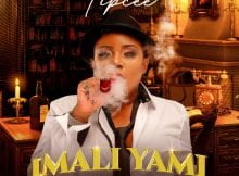 Tipcee - iMali Yami ft. Big Zulu & Dj Joejo mp3 download free lyrics