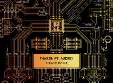 Thakzin – Please Don't ft. Audrey mp3 download free lyrics