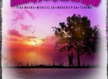 Tiga Maine - Emathandweni ft. Mshizil SA, Mducks P SA & Tshimo mp3 download free lyrics