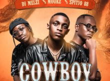DJ Melzi – Cowboy VIII (Rekere) ft. Moukz & Spitjo88 mp3 download free lyrics