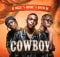 DJ Melzi – Cowboy VIII (Rekere) ft. Moukz & Spitjo88 mp3 download free lyrics