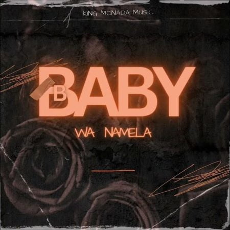 Moreki Music – Baby Wa Namela ft. Mack Eaze, King Monada & Prince Benza mp3 download free lyrics