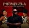 Ndloh Jnr – Phumelela ft. Q Twins & Triple X Da Ghost mp3 download free lyrics