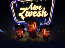 Busta 929 – Awe Zwesh ft. Zwesh SA, Sizwe Alakine, Percy V & Whistle God mp3 download free lyrics