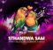 2Point1 - Sthandwa Sam ft. Bello M, Epic DJ, Seneath & X-Morizo mp3 download free lyrics