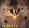 Isizweat, Tman Xpress & LeeMcKrazy – Amawele mp3 download free lyrics