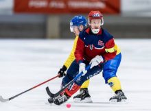 The entertaining sport of bandy