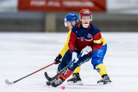 The entertaining sport of bandy